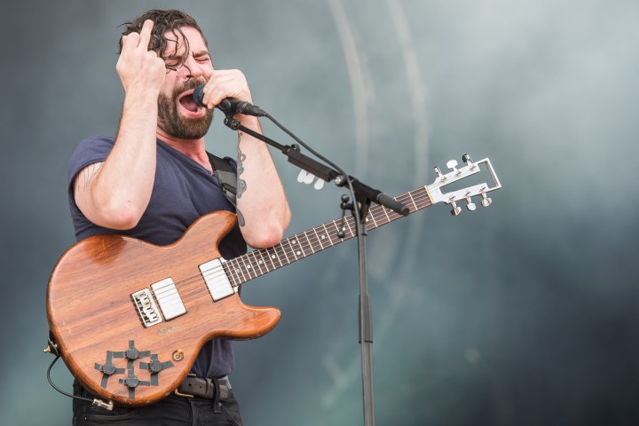 foals